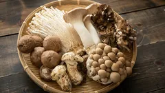 I funghi non vengono digeriti? Una verità che si è rivelata più complessa del previsto