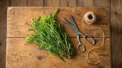 Questa erba aromatica cambia radicalmente il sapore dei piatti, ma spesso viene utilizzata in modo errato.